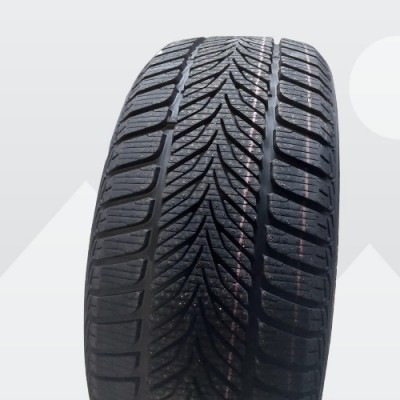 DIPLOMAT® - 225/45R17 WINTER HP 94V XL FP